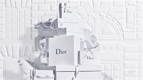 online shop dior|dior official online store.